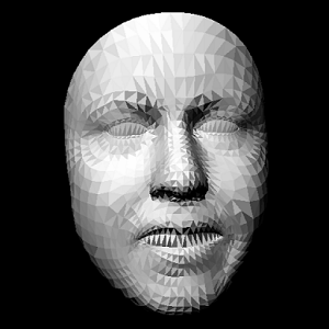 dp.kinect2 face
